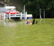 2016 07 03 SwensonLake Lake 005